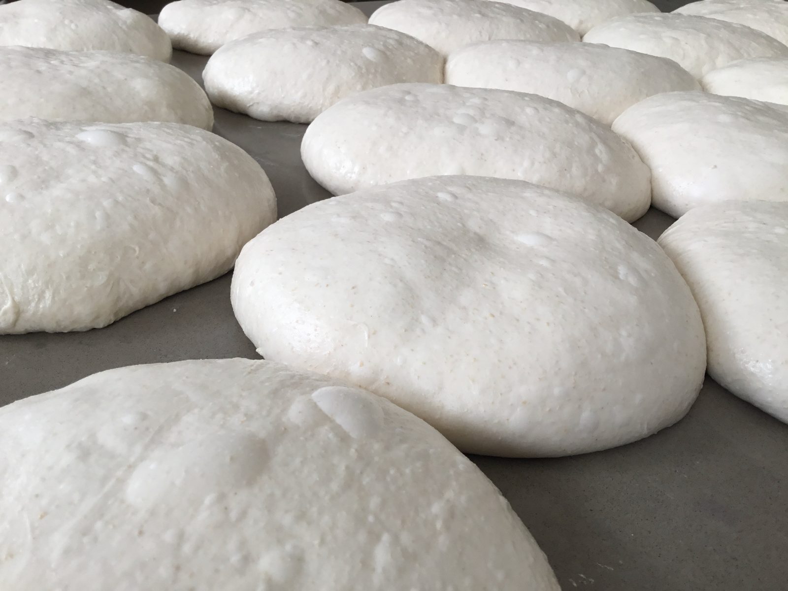 Fresh sourdough loaves