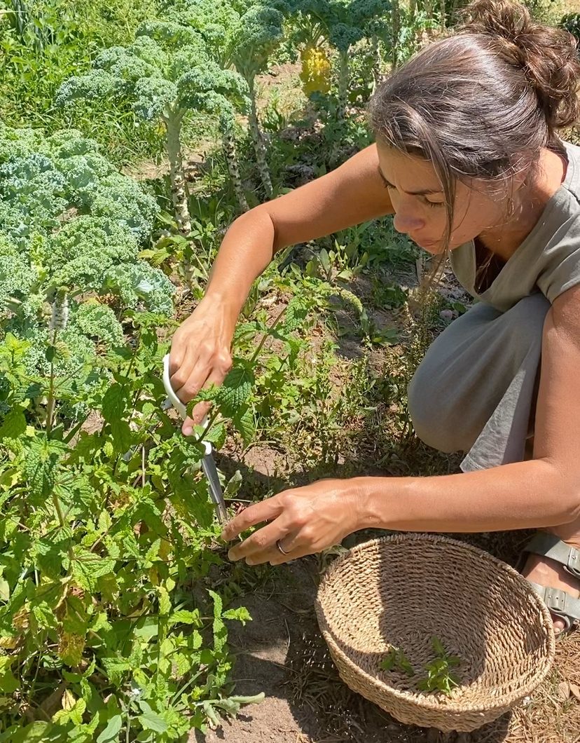 Lara in chef whites holding bowls of fresh greens in the garden