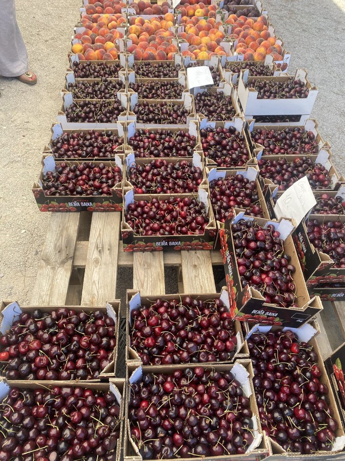 Rows of cherry punnets at the Sesimbra market