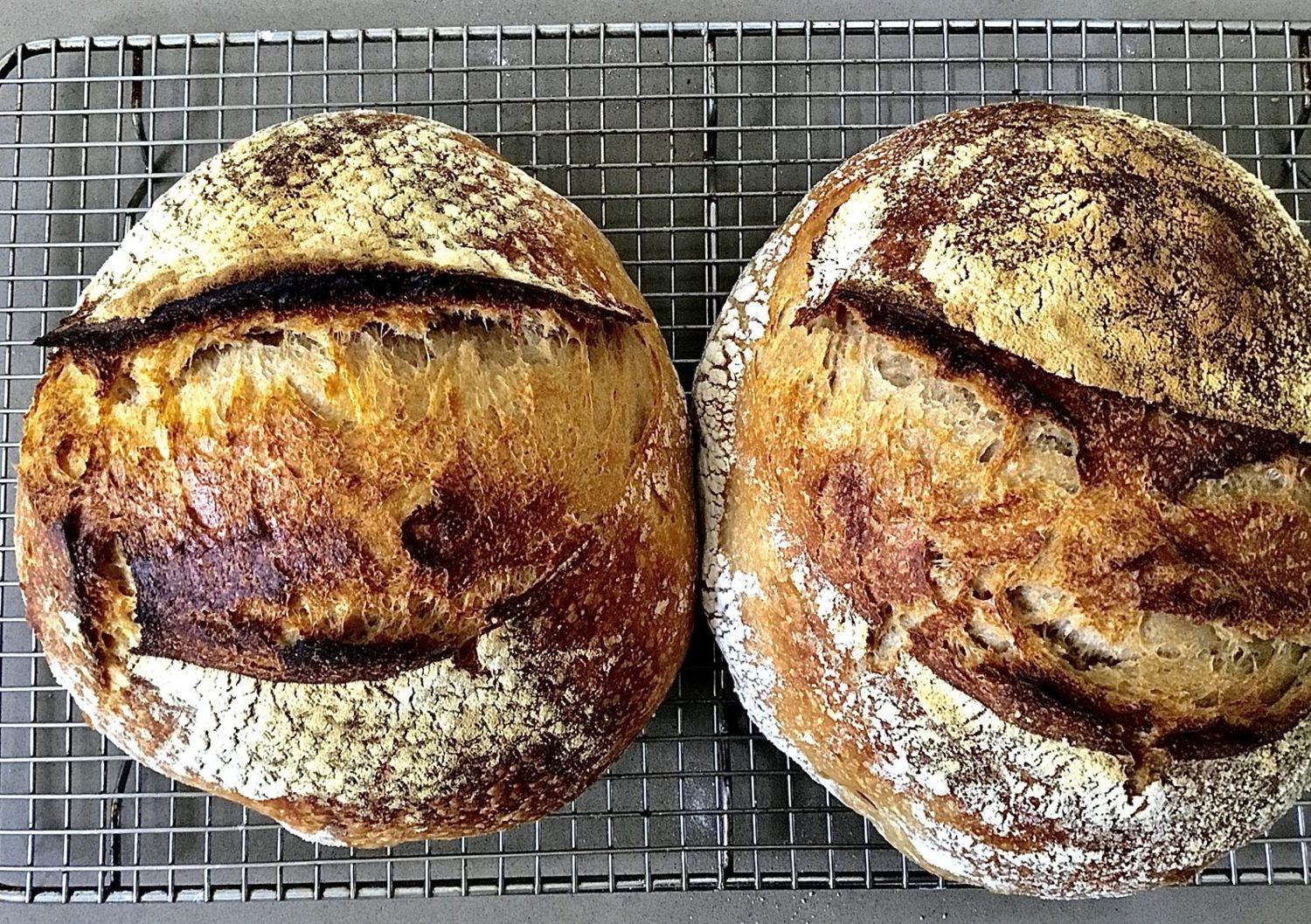Artisan sourdough loaf